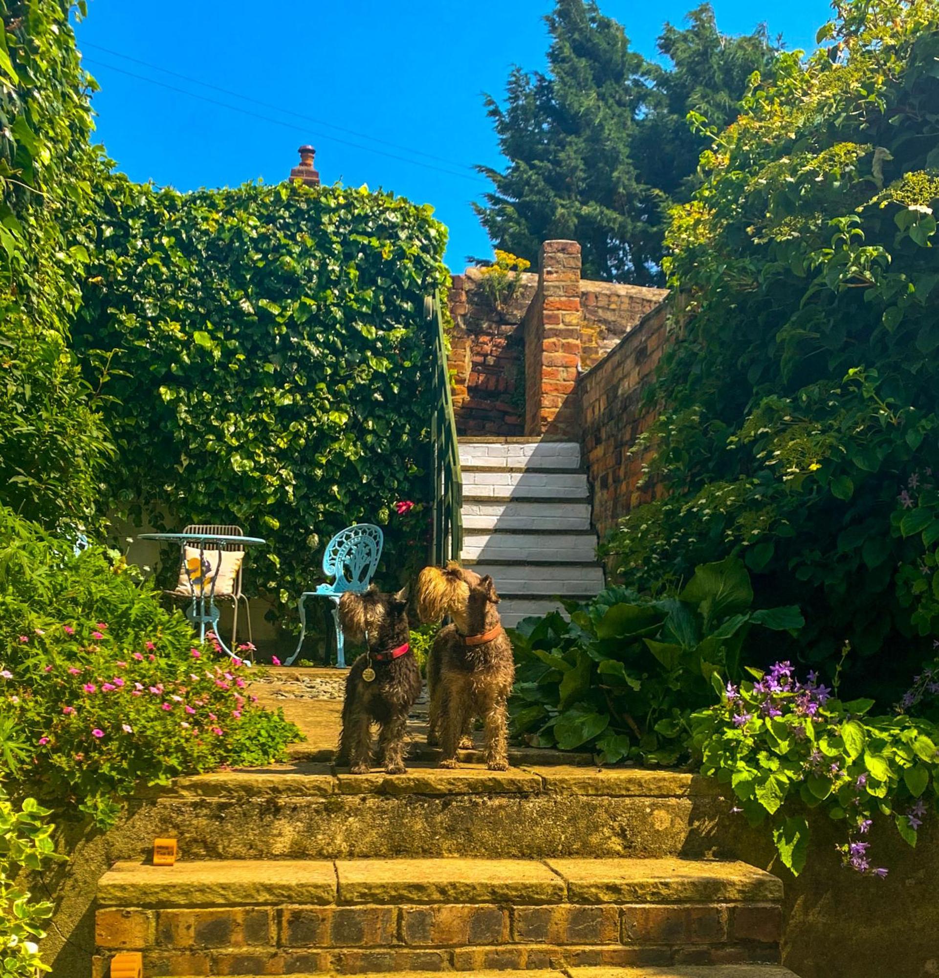 Gowland Cottage, Old Town, Scarborough Exteriör bild